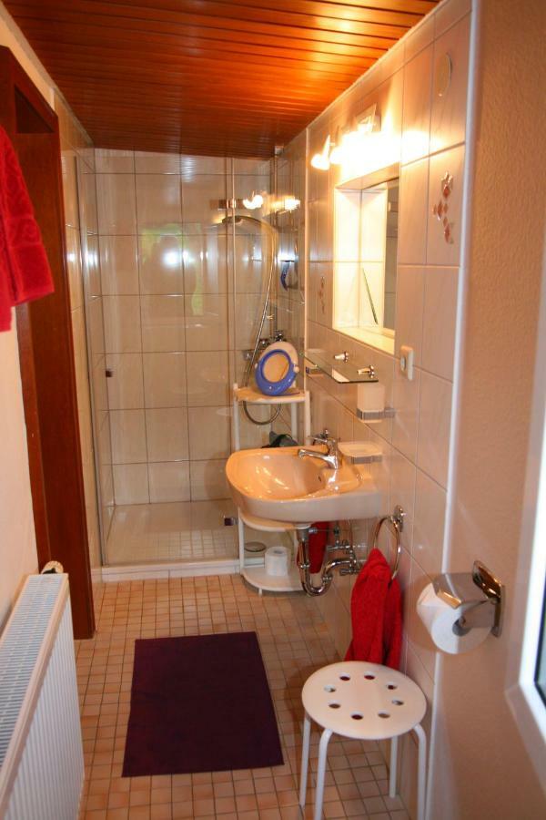 Apartment Baden Baden Haus Am Ibachweg Kültér fotó