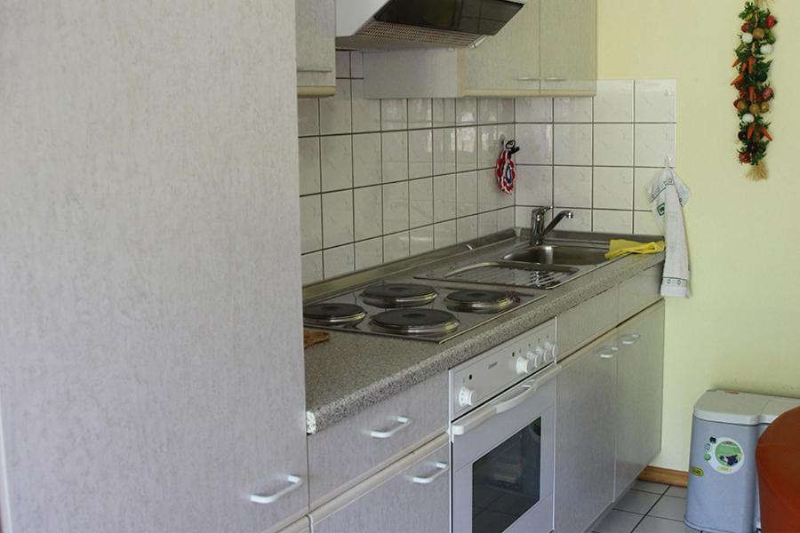 Apartment Baden Baden Haus Am Ibachweg Kültér fotó