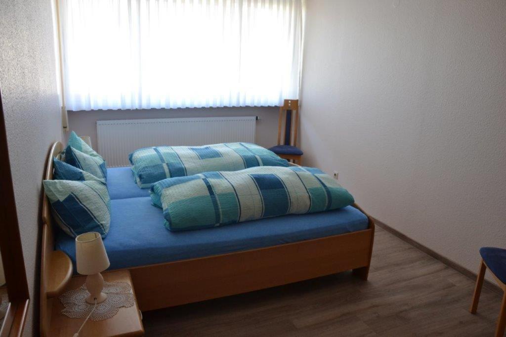 Apartment Baden Baden Haus Am Ibachweg Kültér fotó